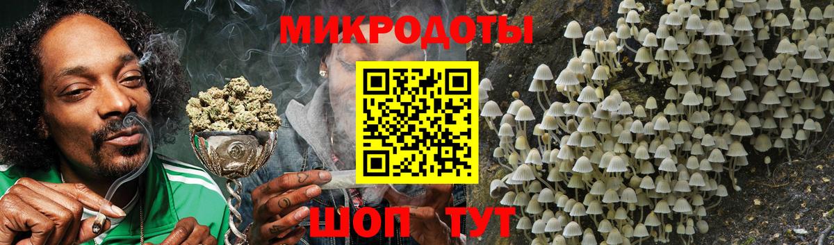 Псилоцибиновые грибы Psilocybine cubensis Лосино-Петровский